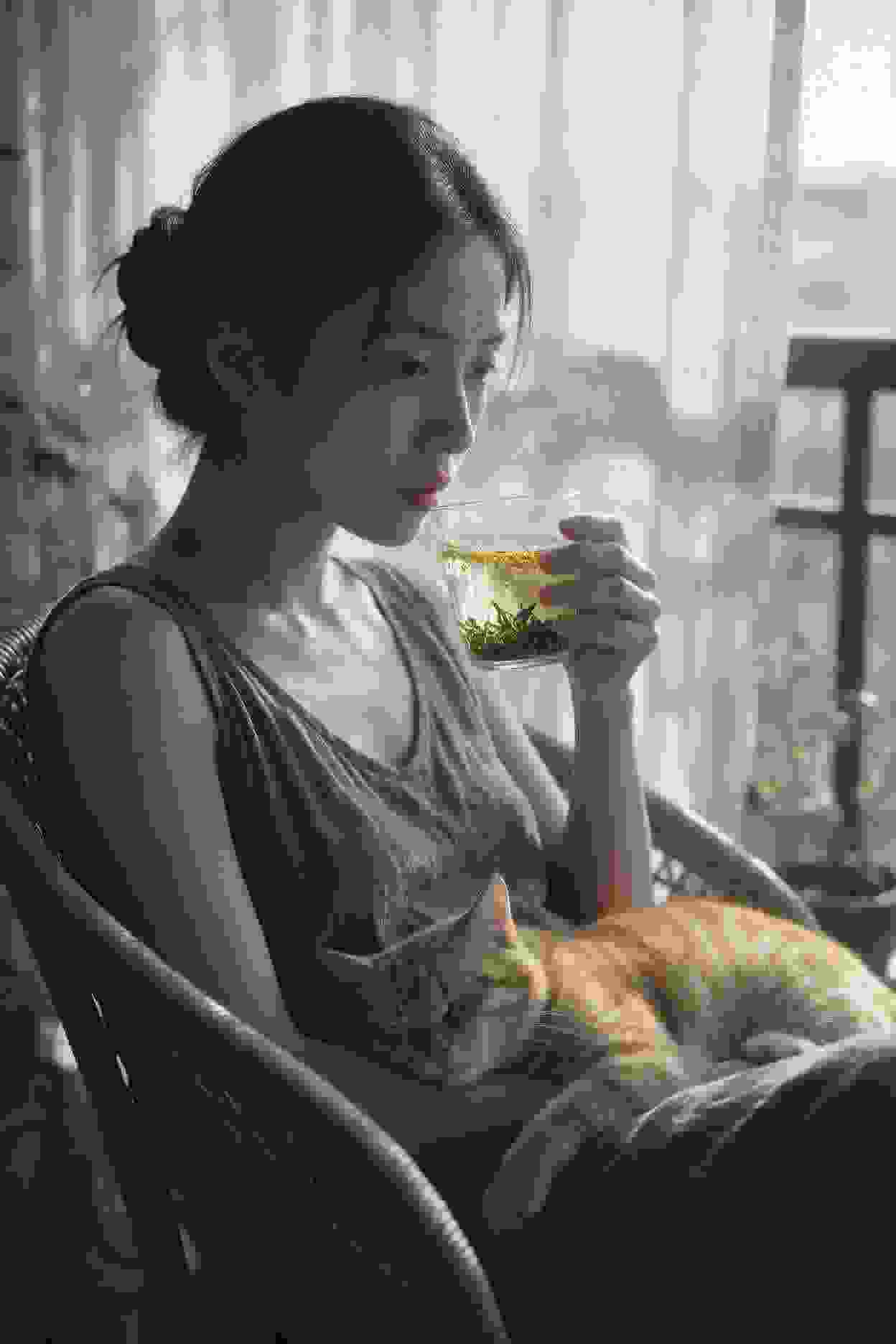 网络热剧